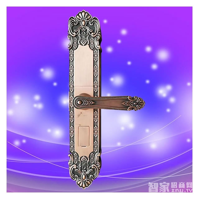 彬睿智能锁_彬睿智能锁 锌合金滑盖智能锁 别墅防盗指纹密码锁